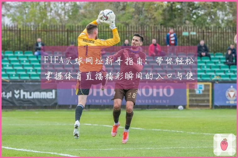 FIFA买球网址新手指南：带你轻松掌握体育直播精彩瞬间的入口与使用技巧